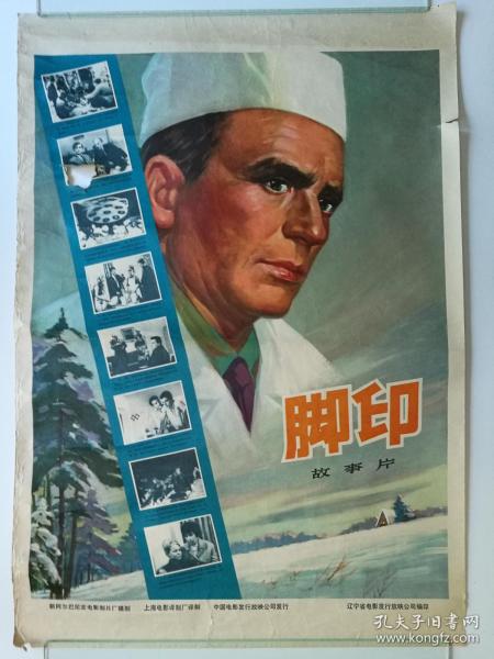 Avans Hogeschool本科毕业证